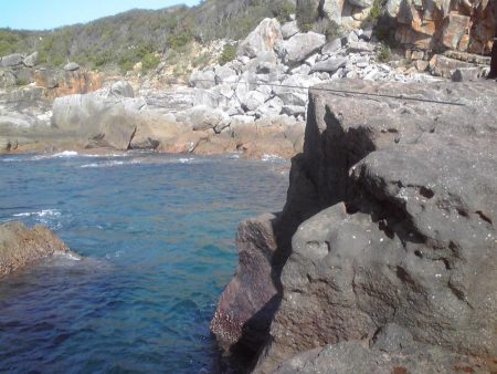 イシガキダイ、メンドリ、イガミ、サンノジハゲその他